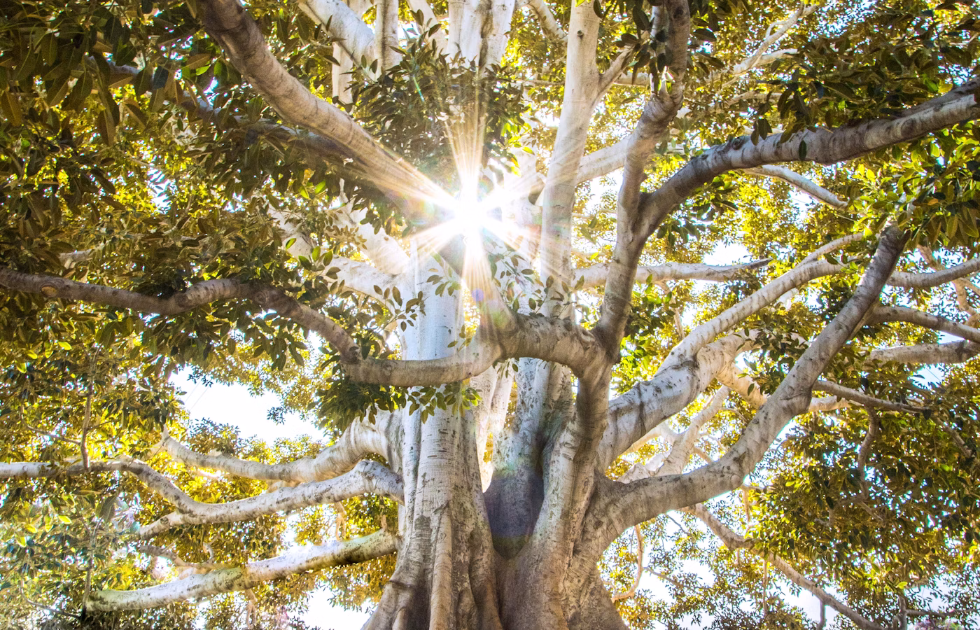 Практики внимания онлайн в Красноярск